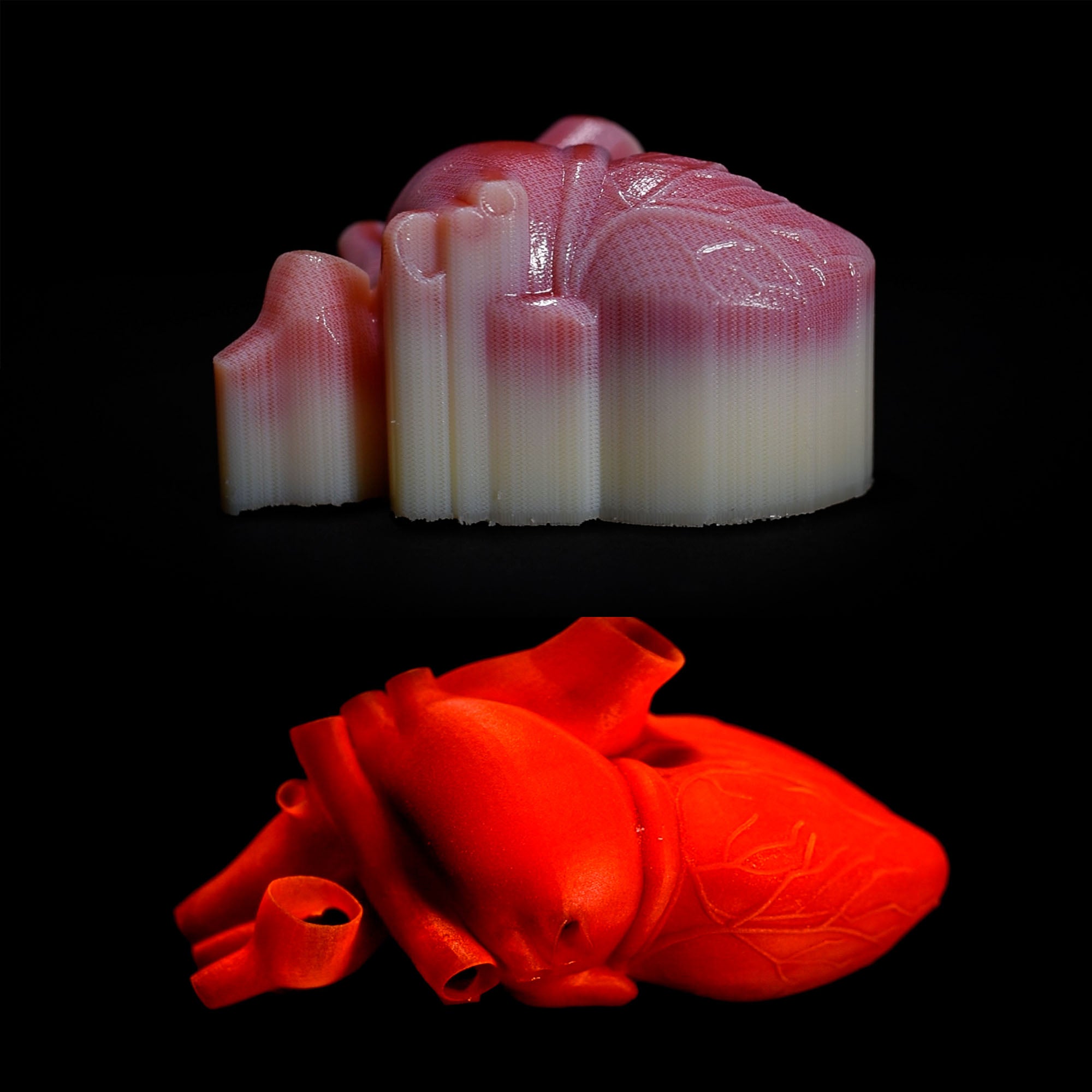 Remoção automatizada de suporte SCA3600